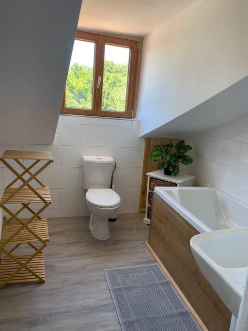 Spacious 1 Bed Home With Shared Pool Champagnac-la-Rivière المظهر الخارجي الصورة